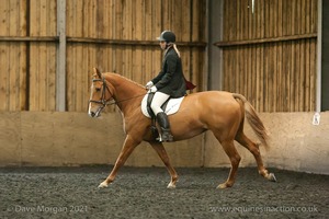 Isis Dressage Crown Farm Show 29th April 2012